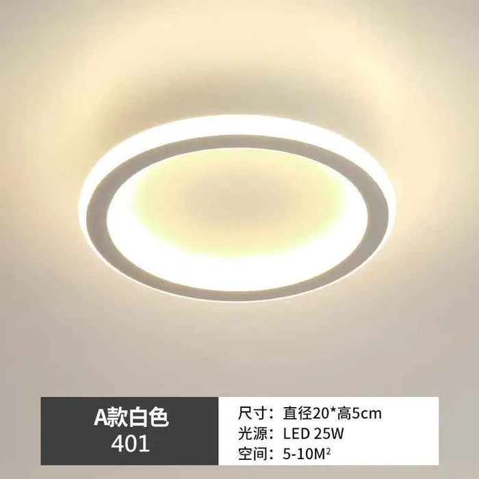 Modern LED Ceiling Light – Minimalist Hallway Fixture